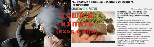ECSTASY Алзамай