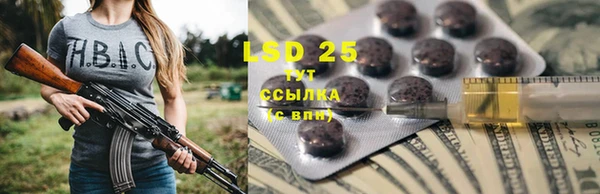 ECSTASY Алзамай