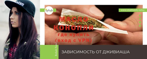 дживик Алексин