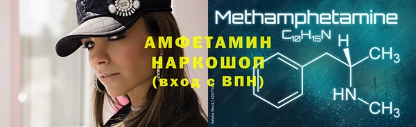 ECSTASY Алзамай