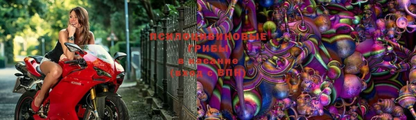 герыч Алексеевка