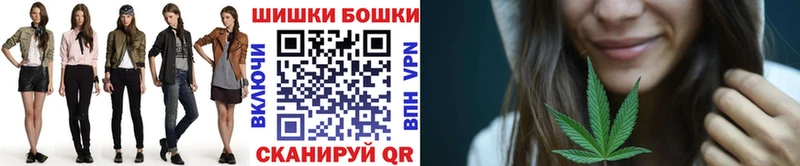 дарк нет телеграм  Богучар  Бошки Шишки семена 